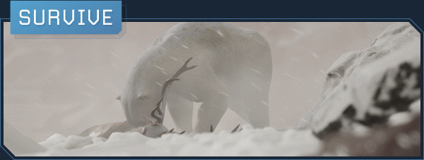 Survive_1.gif